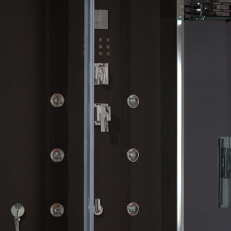 Platinum Steam Shower