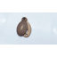 Oval Beehive Escutcheon Matt Antique