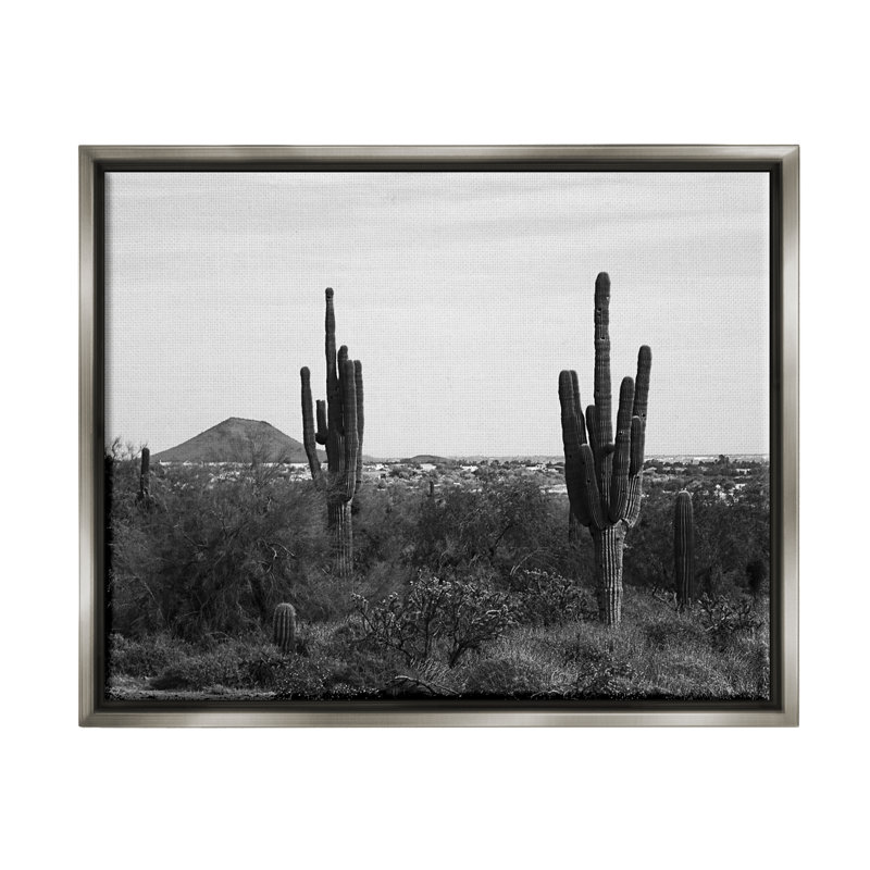 Désert, cactus désertique, nature, monochrome par Graffitee Studios - photographie sur toile flottante