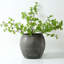 Black Indoor / Outdoor Earthenware-629636842