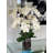 Orchid Arrangement in Vase-68766514