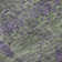 Premium Machine Washable Cerrito Fern Rug