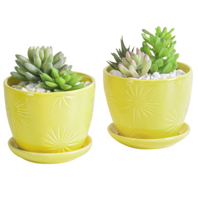 Magdaleno Ceramic Pot Planter