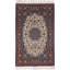 Mehinder Oriental Area Rug in Ivory
