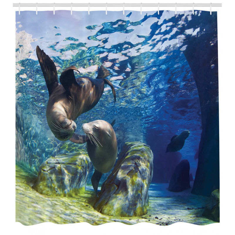 Ensemble de rideau de douche Sea Sea avec crochets, H 70 po x l 69 po