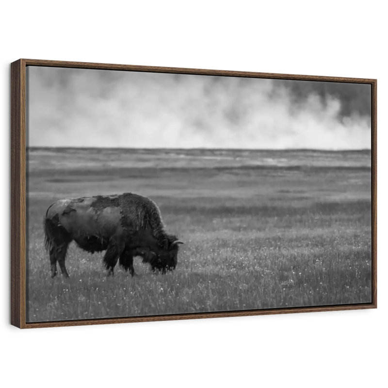 Parc national de Yellowstone, 25 po x 17 po, Cadre flottant en noyer