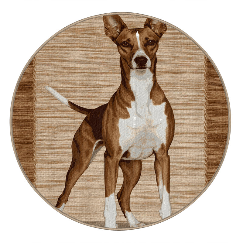  Tapis lavable Cirneco dell'Etna Dogs, Rond 6 pi