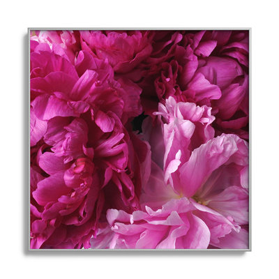 " Glamour Pink Peonies "