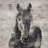 Abstract horse with typography - 32"x32" art on canvas