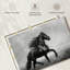 Frison noir-107923907
