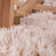Jimaya Performance Indoor Rug