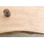 Solid Wood Top Metal Base Dining Table-64126008-64126009-64126017