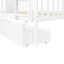 Lit superposé double au-dessus de double avec tiroirs et échelle pour les meubles de chambre à coucher, de chambre d'amis
