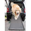 Rampe pliante pour animal 70 "Bly-913657411