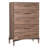 Aldiana 56" Modern 5-Drawer Chest