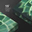 Plantes grasses succulentes vertes Haworthia-99543597
