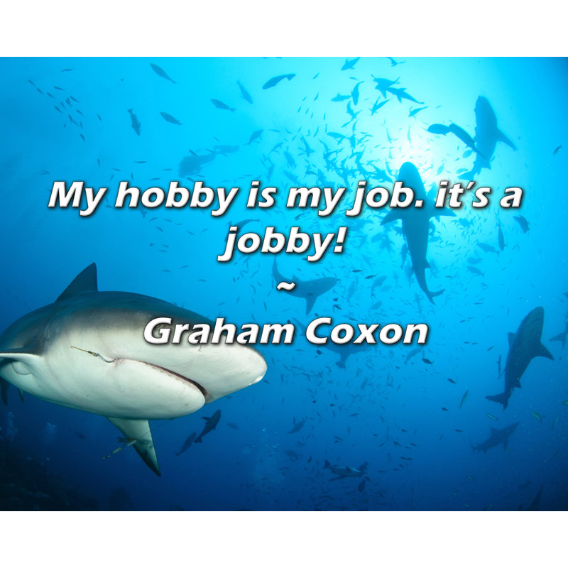 Graham Coxon Quote: My hobby is my job. it’s a jobby!