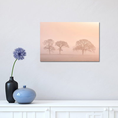 The Peach Trees by Adam Burton - Wrapped Canvas Print