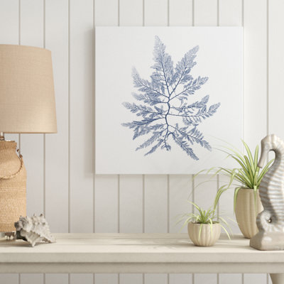 Navy Seaweed II by Vision Studio - Wrapped Canvas Painting