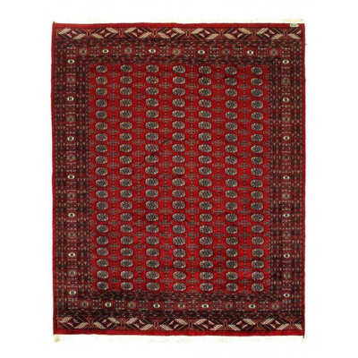 Tapis rouge / brun en coton / laine noué à la main de style sud-ouest 8 pi 1 po x 10 pi 1 po