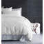 Raba Standard Cotton 280 TC Duvet Cover Set-1034652159-1034652158