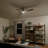 54'' Ceiling Fan with LED Lights