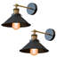 Chaparro Swing Arm Sconce