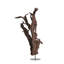Kazu Dragon Tree Sculpture