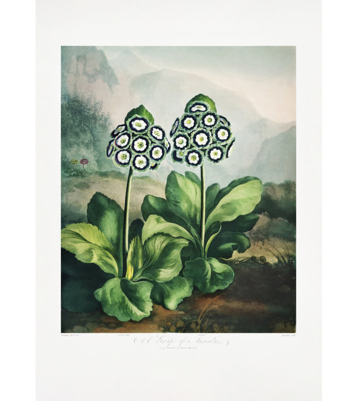 Wrapped Canvas Print, 91.44cm H x 60.96cm W