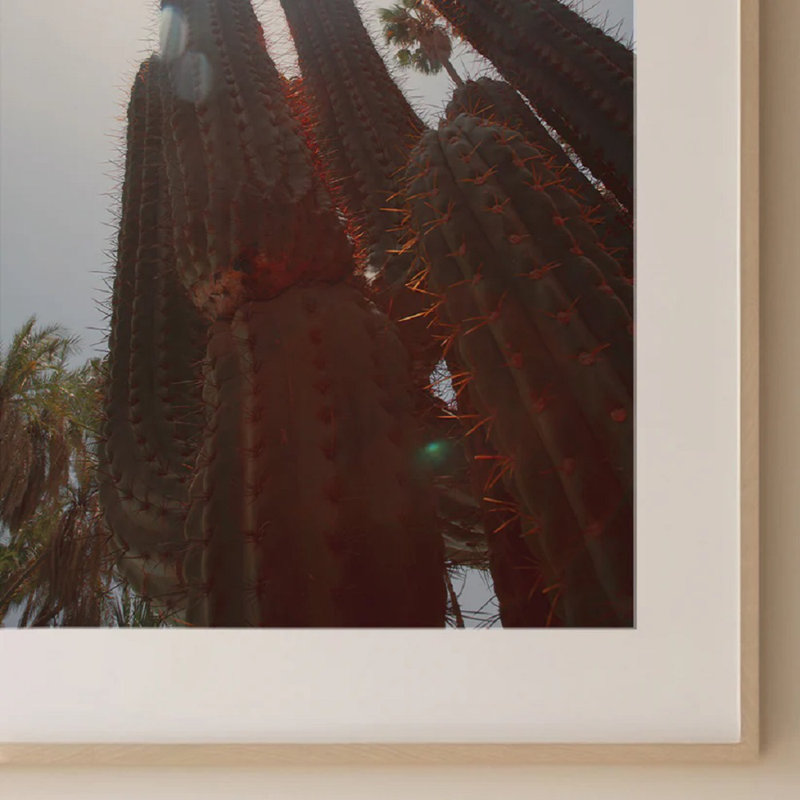 Cactus Travel Print 1, 40cm H x 30cm W