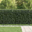 Powder-Coated Steel Fence Panels Included-124587409