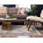 Oriental Indoor Rug-1912944863