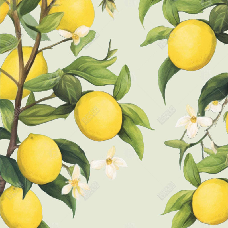 "Citrons fleuris" sur toile