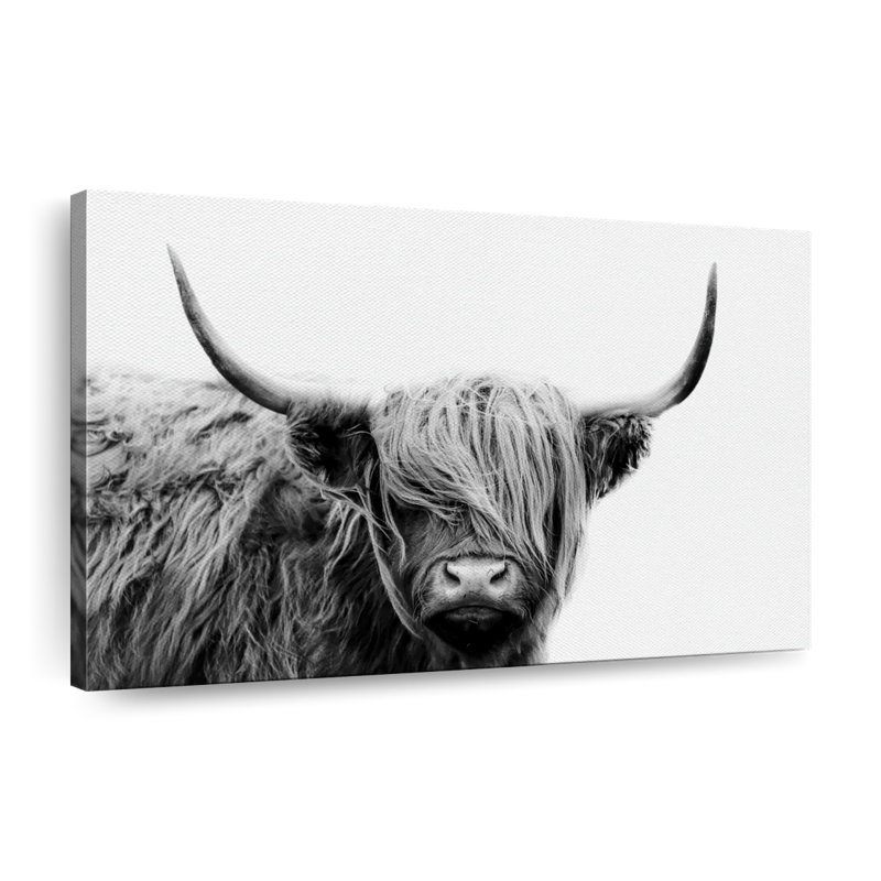 BW Highland Cow Canvas Print, 32" H x 48" W x 1.25" D
