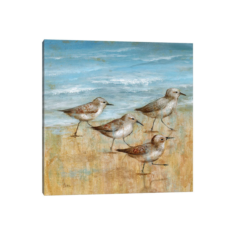 Sandpipers I by Nan - Wrapped Canvas Print, 30.48 cm H x 30.48 cm W