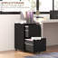 37cm Wide 2 -Drawer Steel File Cabinet-2052314803