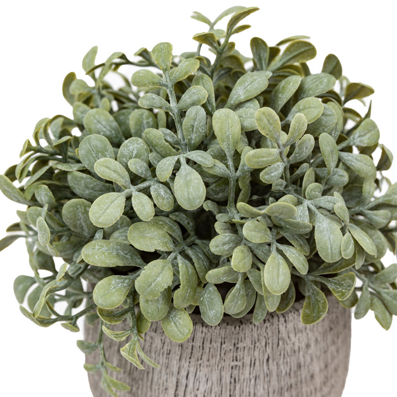 Potted Plant Ceramic Scratch Pots Sage