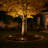 Metal 12V Voltage Integrated 5W LED Landscape Inground Light Pathway Light Kit