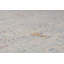 Tapis rectangulaire Wade-97775366