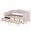 Twin Size Upholstered Daybed With Two Drawers-1007061137