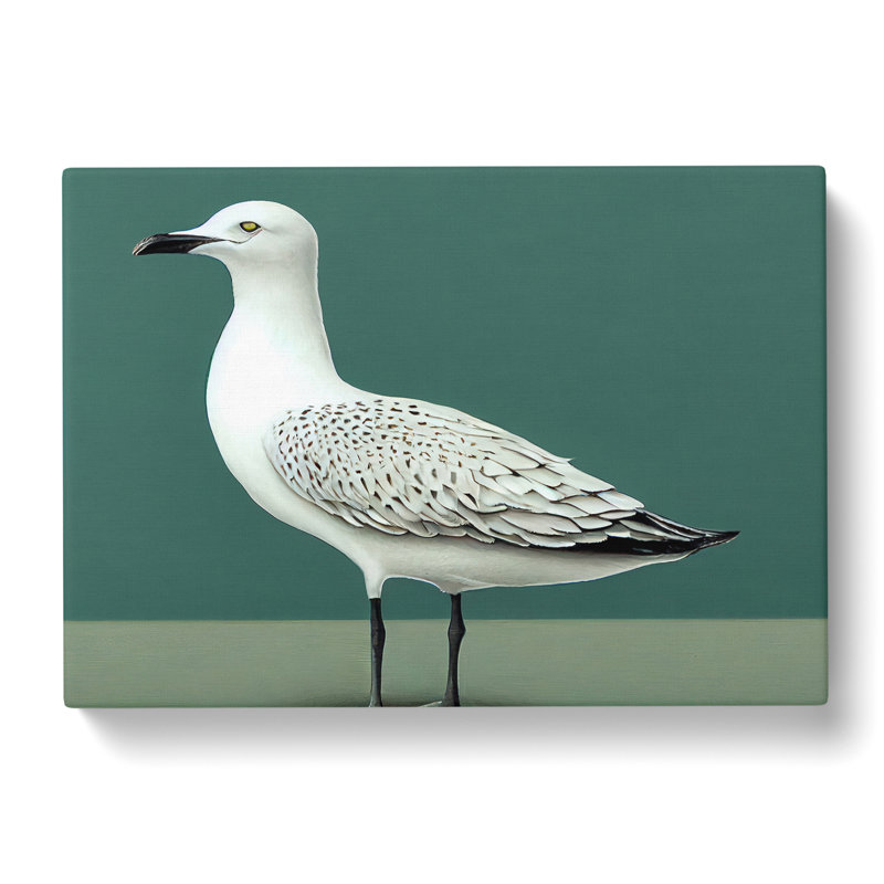 View Of A Seagull - Wrapped Canvas, 40cm H x 60cm W x 3cm D