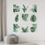 Vert, pastel, plante tropicale, variété, nature, désert, feuilles de Monstera-92573572-92573576