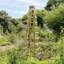 Lynnfield 200cm H x 60cm W Wood Obelisk