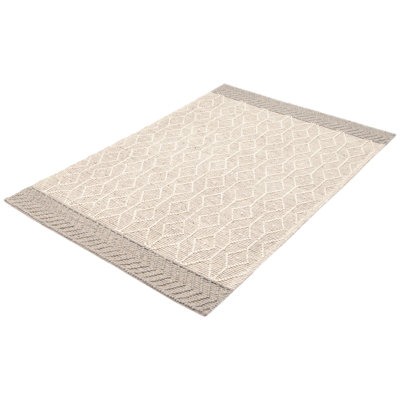 Iamandi Performance Hand Braided Wool Rug