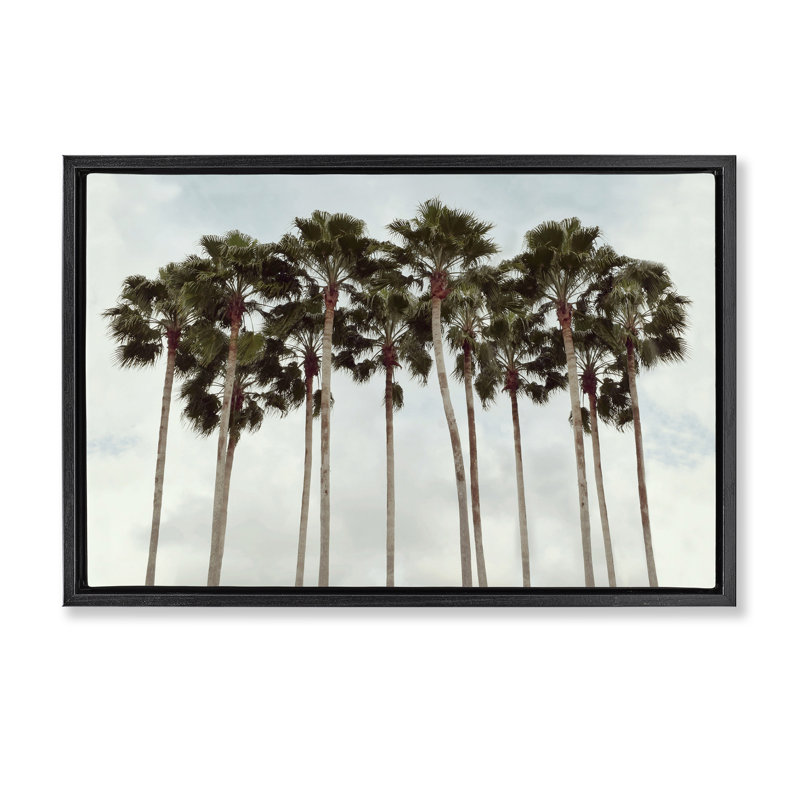 Cadre flottant Surfs Up Beach Palms, design par Natalie Carpentieri, Cadre flottant noir de jais, H 21 po x l 31 po