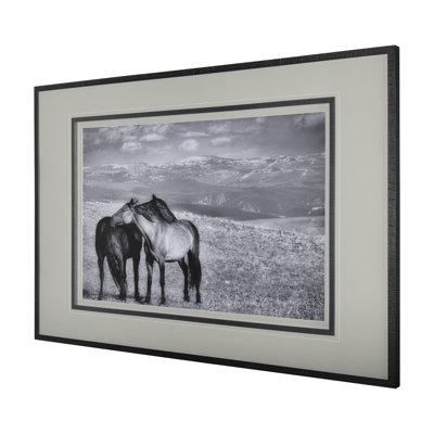 Babies on Board a Framed Art Print Matted under Glass