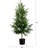  5ft. Artificial Norfolk Pine Tree