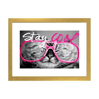 " Stay Cool Cat "