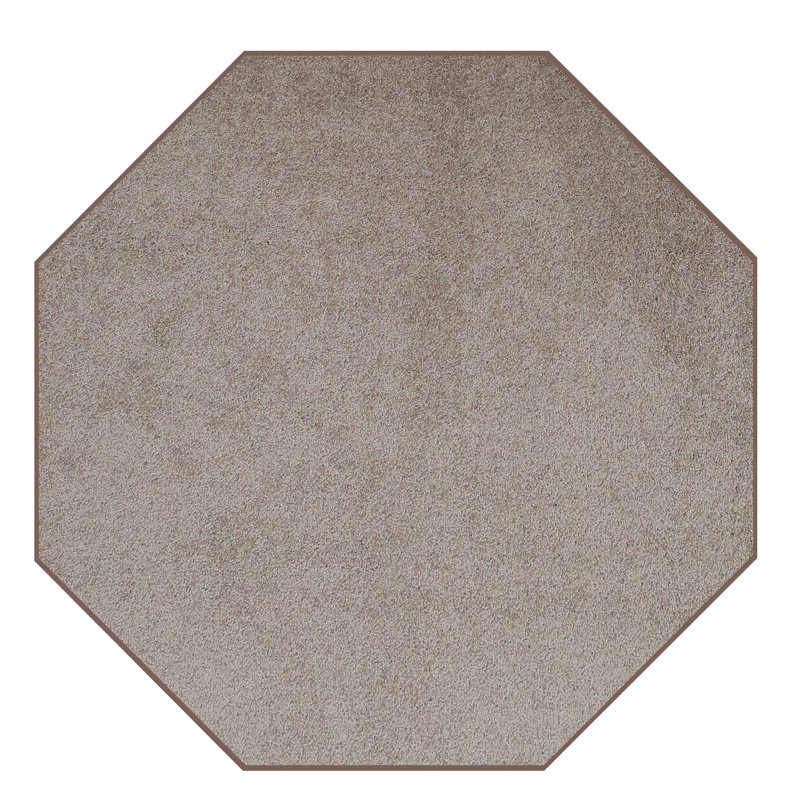 Modern Plush Pet and Kids Friendly Solid Color Area Rugs, Stain & Fade Resistance, Bedroom, Playroom and Kidsroom, Event, Wedding, Perfect for Living Room, Dining Room, Beige Rug