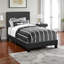 Lit simple capitonné noir Duncan, H 45,61 po x l 42,86 po x L 79,98 po